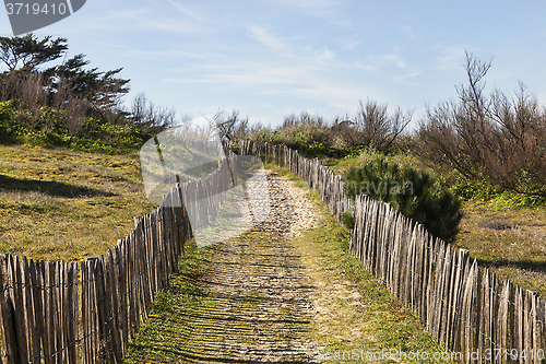 Image of Footpath on the Atlantic Dune in Brittany