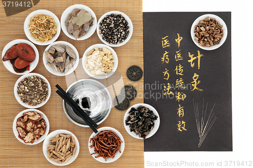 Image of Acupuncture Traditional Chinese Medicine
