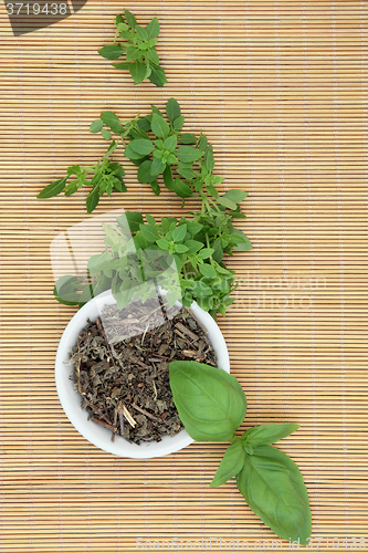 Image of Basil Herb