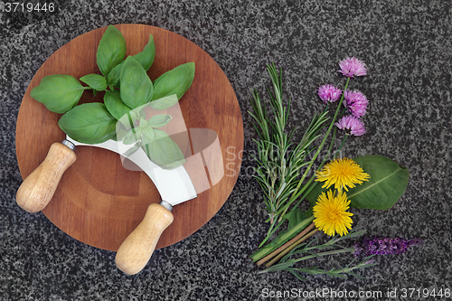 Image of Fresh Herbs