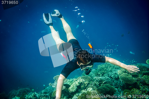 Image of Snorkeler Maldives Indian Ocean coral reef.