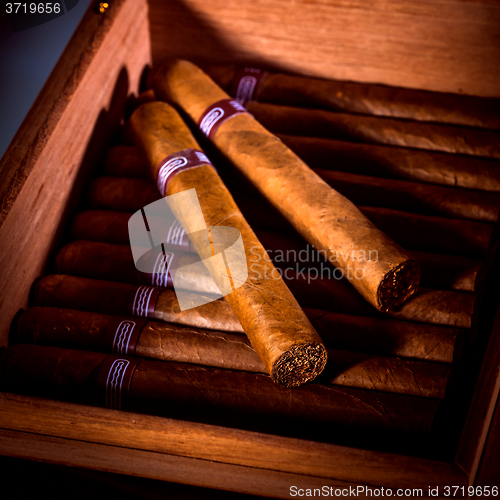 Image of Cigars in humidor