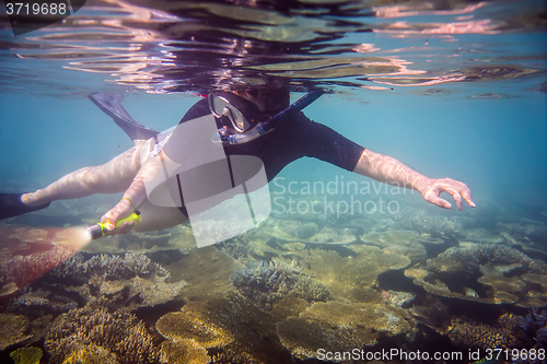 Image of Snorkeler