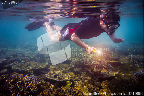 Image of Snorkeler