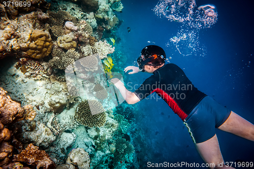 Image of Snorkeler Maldives Indian Ocean coral reef.