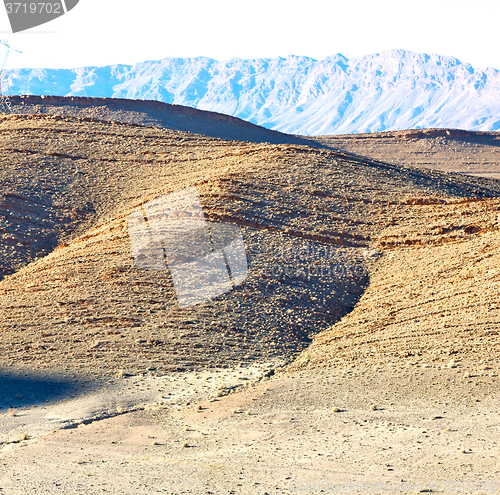 Image of bush  in    valley  morocco     africa the atlas dry mountain  