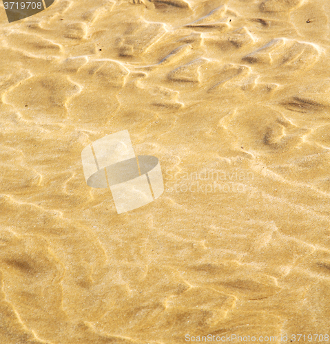 Image of dune morocco in africa brown  