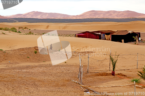 Image of tent in  the desert of  sahara and      sky
