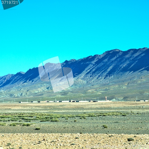 Image of bush  in    valley  morocco     africa the atlas dry mountain  