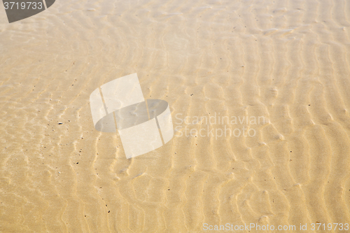 Image of dune morocco in africa   wet sand   atlantic ocean