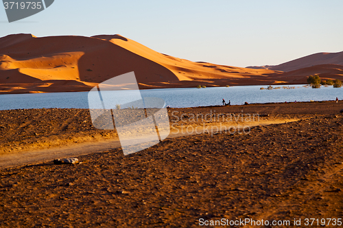 Image of sunshine in the lake yellow  desert of morocco  and     dune