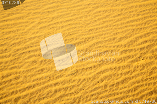 Image of africa the brown sand dune 