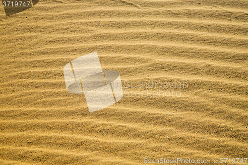 Image of africa  sand dune in   