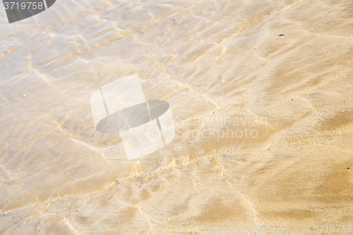 Image of dune   in africa brown coastline   near atlantic ocean