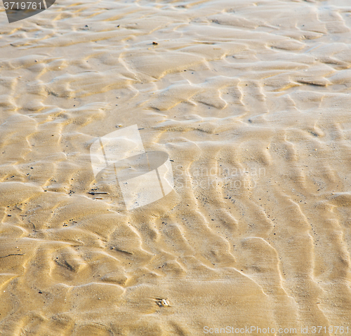 Image of dune morocco in africa brown coastline wet sand beach near atlan