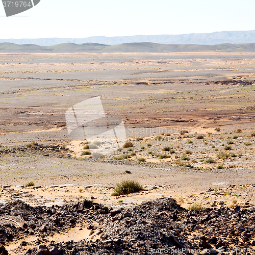 Image of mountain old fossil in  the desert of morocco sahara and rock  s