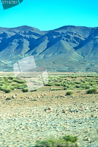 Image of brown bush  in    valley          africa the atlas dry  