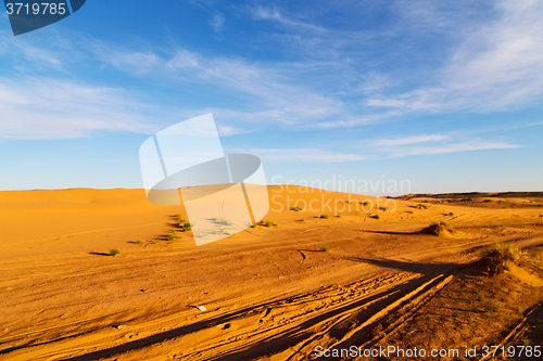 Image of sunshine in the lake yellow    of morocco sand      dune