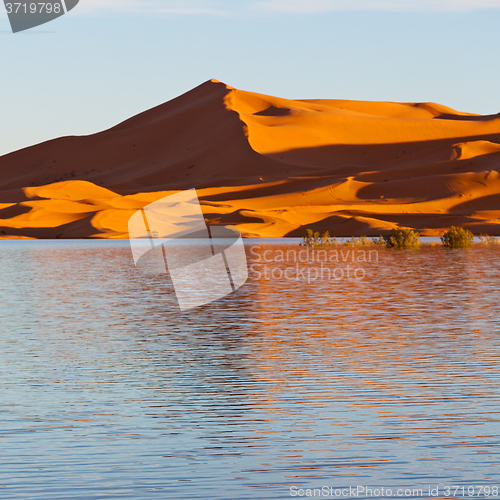 Image of sunshine in the lake yellow  desert of morocco sand and     dune