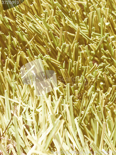 Image of  Artificial grass vintage