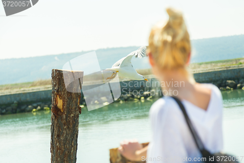 Image of Woman watching seagull in summertime.