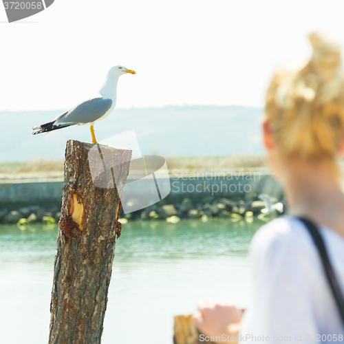 Image of Woman watching seagull in summertime.