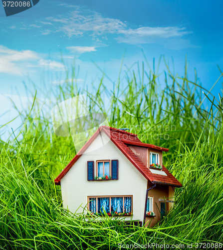 Image of House on the green grass