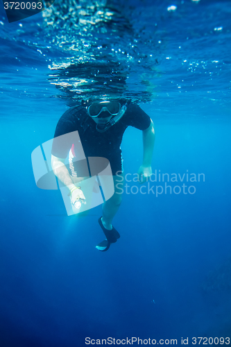 Image of Snorkeler