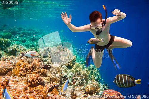 Image of Snorkeler Maldives Indian Ocean coral reef.