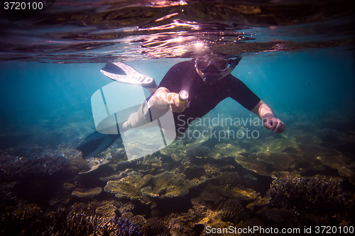 Image of Snorkeler