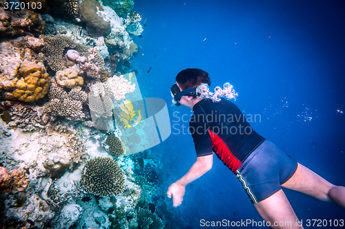 Image of Snorkeler Maldives Indian Ocean coral reef.