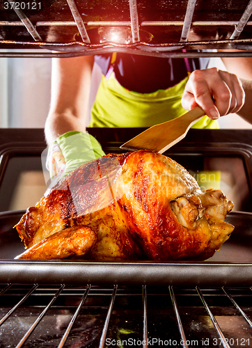 Image of Cooking chicken in the oven at home.