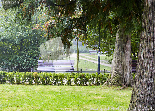 Image of Benches in the park