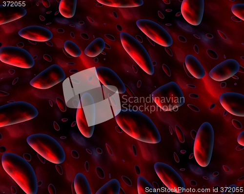 Image of blood cells