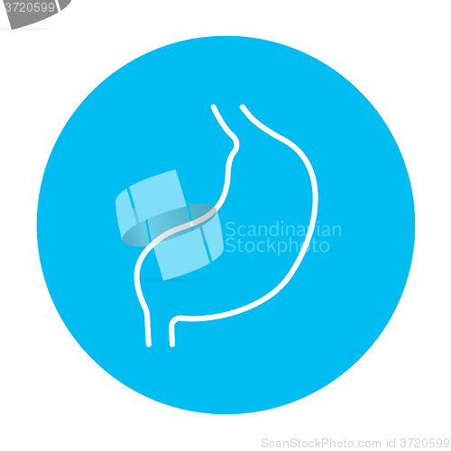 Image of Stomach line icon.