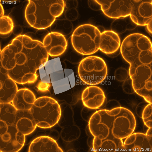 Image of cells