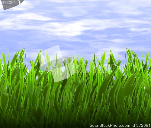 Image of green grass