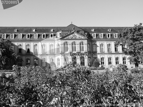 Image of Neues Schloss (New Castle), Stuttgart