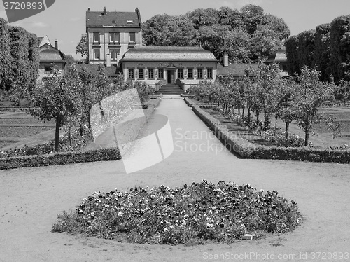 Image of Black and white Prince Georg Garden in Darmstadt