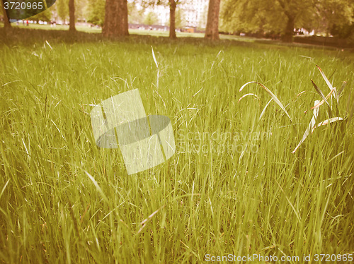 Image of Retro looking Grass meadow