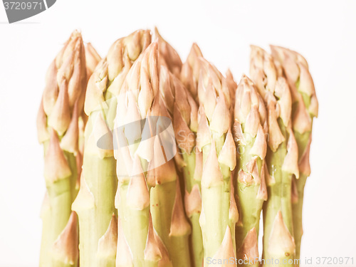 Image of Retro looking Asparagus vegetable