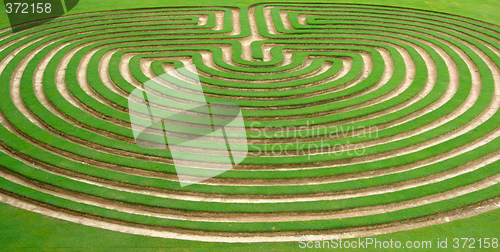 Image of garden maze
