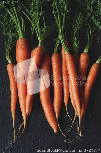 Image of Bunch of fresh carrots with green leaves