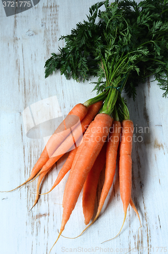 Image of Bunch of fresh carrots with green leaves