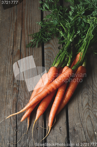 Image of Bunch of fresh carrots with green leaves