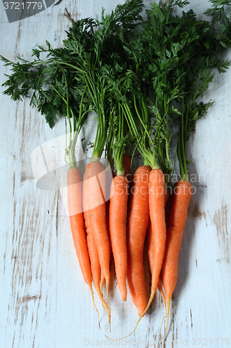 Image of Bunch of fresh carrots with green leaves