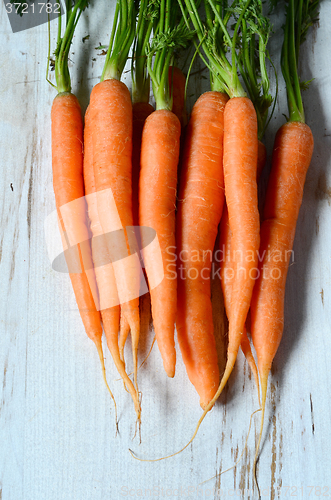 Image of Bunch of fresh carrots with green leaves