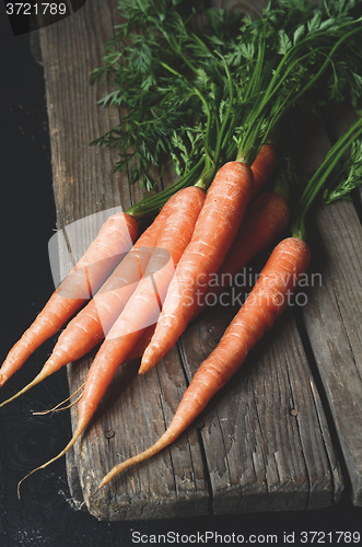 Image of Bunch of fresh carrots with green leaves