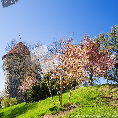 Image of View of the Old Tallinn beautiful spring day
