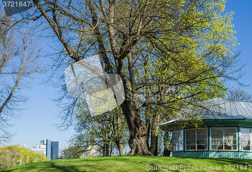 Image of Harju Hill in Tallinn, a spring day